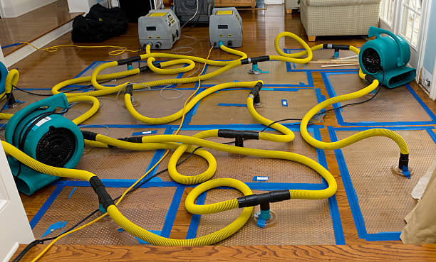 Professional Burst Pipe Water Damage technician working in Holland, TX